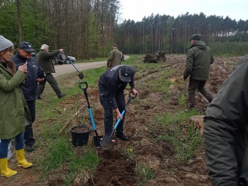 Sadzimy las na 100-lecie Lasów Państwowych, 